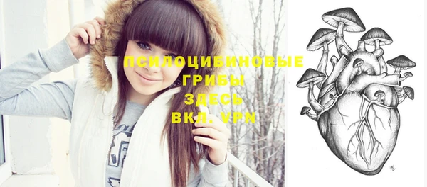 СК Надым