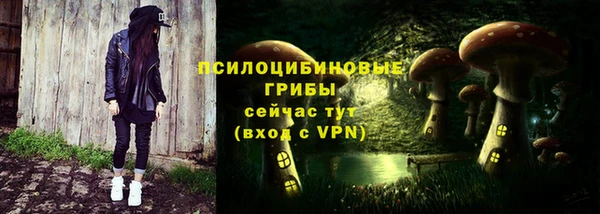 СК Надым