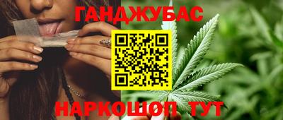 стаф Донецк