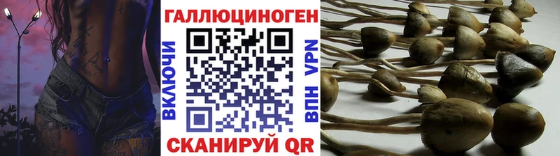 Галлюциногенные грибы Psilocybe  Бирск 