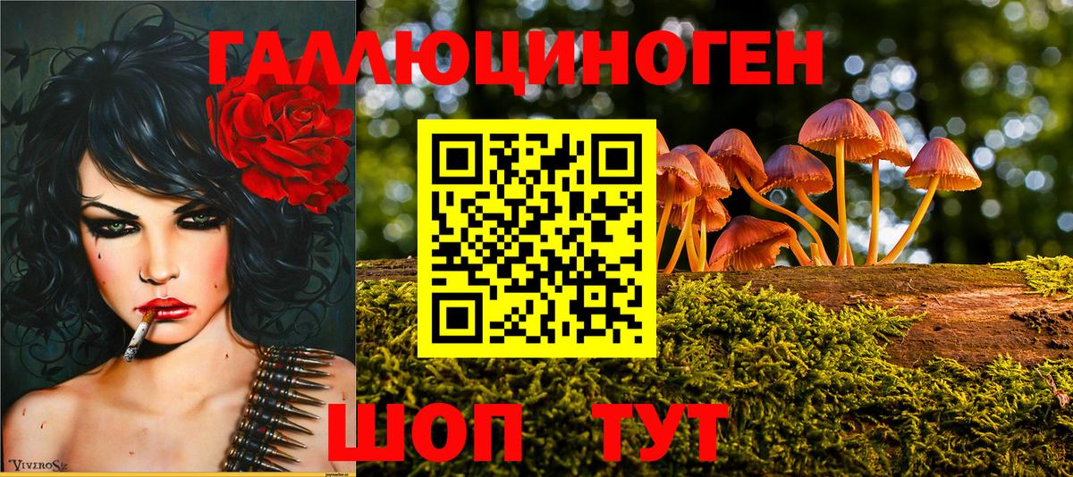 Псилоцибиновые грибы прущие грибы  Вход с VPN  Бирск 
