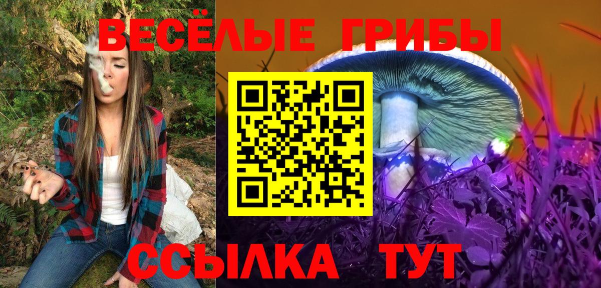 Псилоцибиновые грибы Psilocybine cubensis  Бирск 