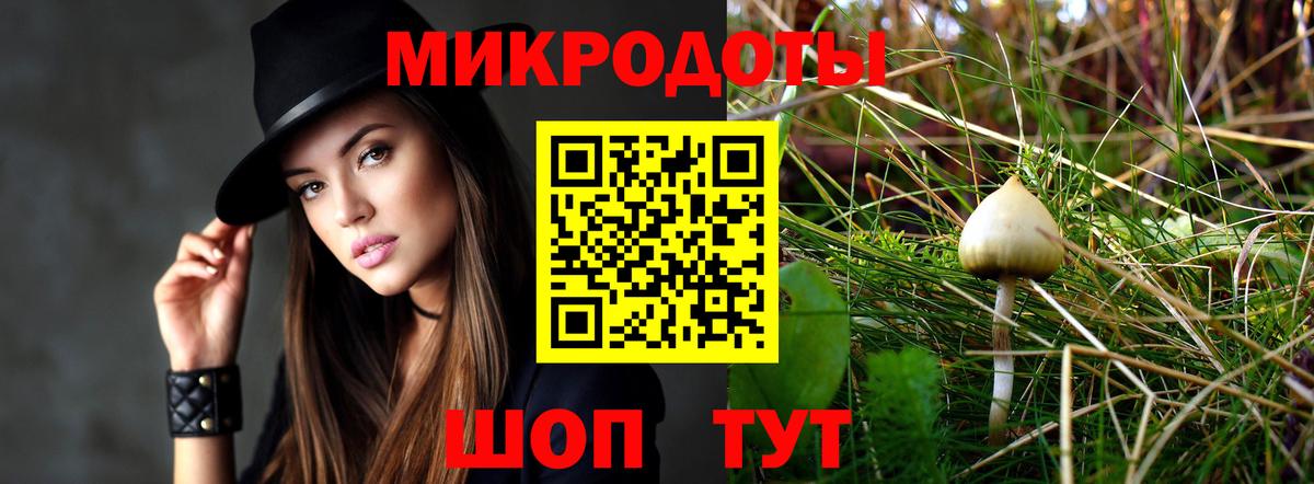 Псилоцибиновые грибы Cubensis Бирск