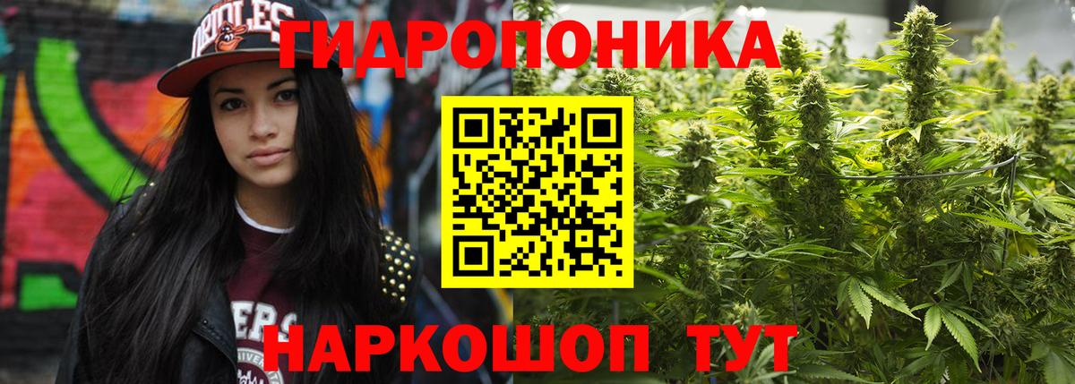 Бошки Шишки планчик  Шишки марихуана Amnesia  Вход с VPN  Бошки Шишки Bruce Banner  Бошки марихуана марихуана  Бирск 